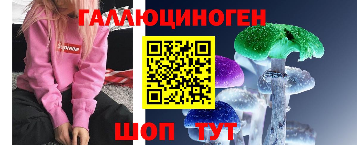 Дивногорск  Галлюциногенные грибы мицелий  Вход с VPN 